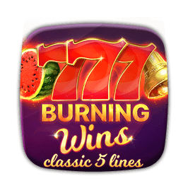 Hot Burning Wins game cover
