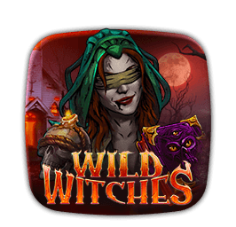 Wild Witches game cover