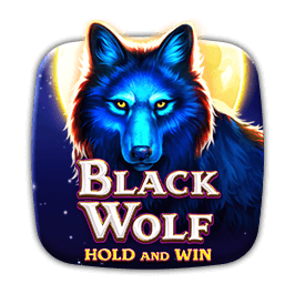 Black Wolf 2 game cover
