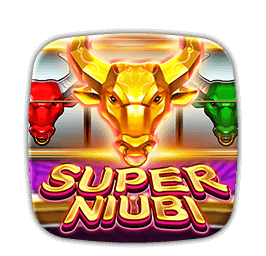 Super Niubi game cover